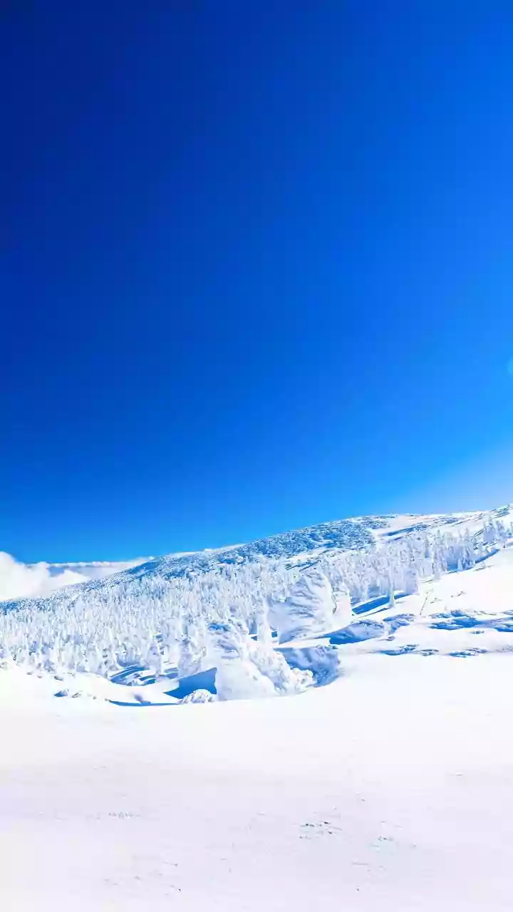 Unveiling Record Snowfall: A Geographic Mystery