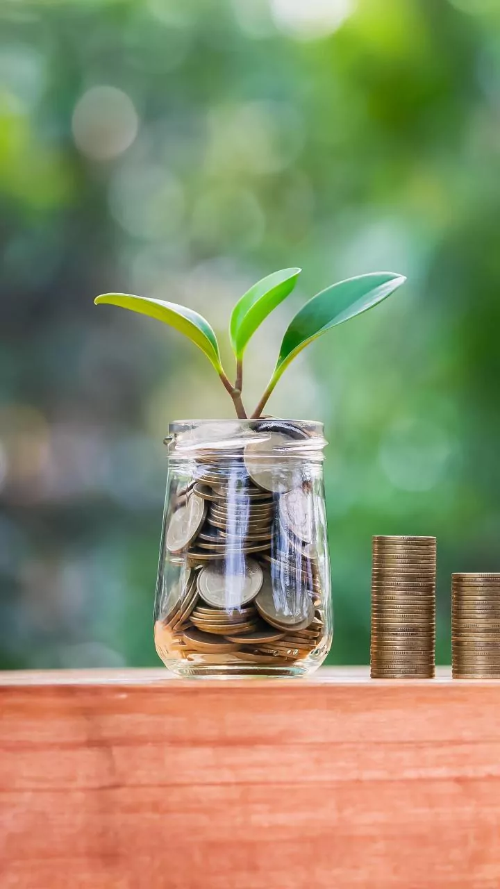 Top-Performing Funds: Investment Options Explored