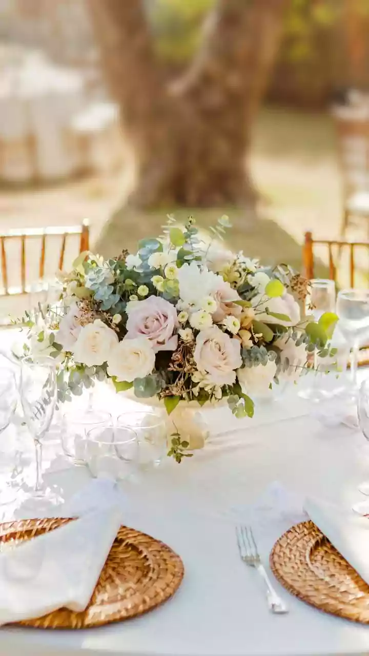 Kritika Kamra's Wedding: A Chic Keto-Friendly Culinary Celebration