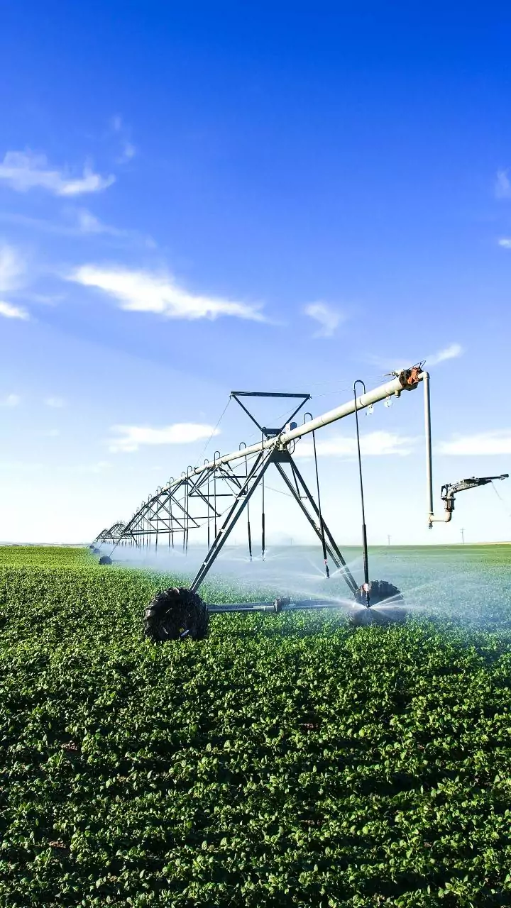 State-level innovations transforming agri governance, delivering measurable outcomes: Eco Survey