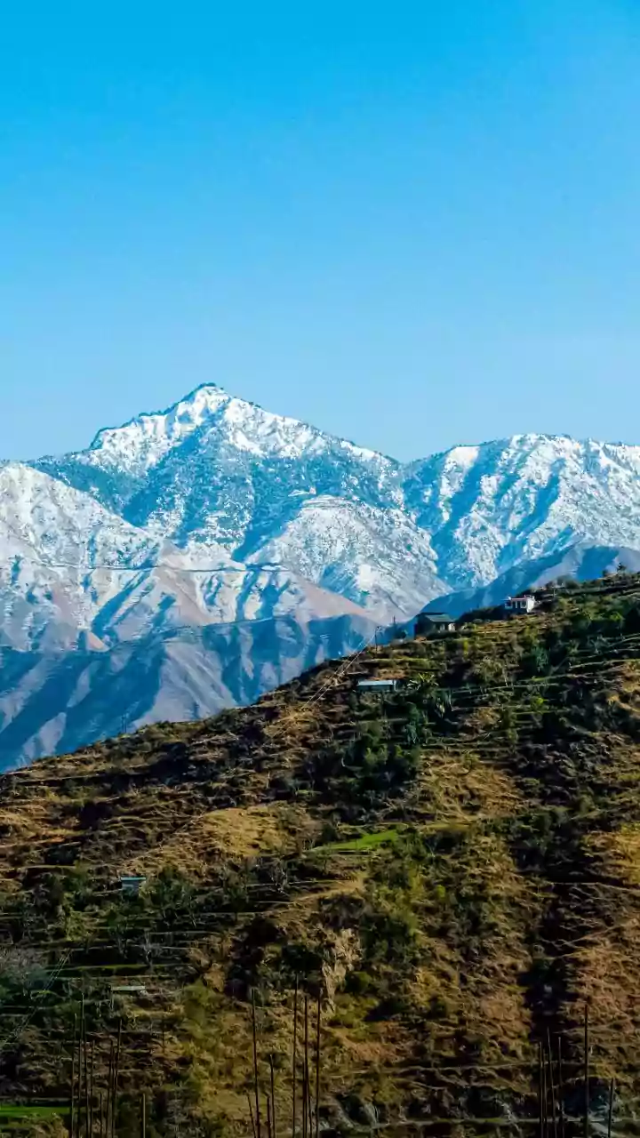 Frame guidelines to cap number of tourists, horses to Kufri's Mahasu Peak: NGT to HP govt