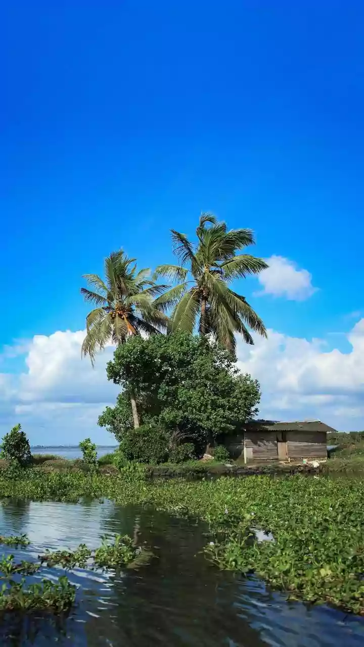 CM Thalapathy Vijay's Ancestral Village: Explore Muthupettai's Rich Heritage and Natural Beauty