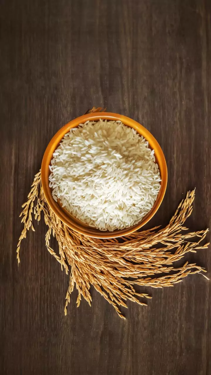 US tariff cut to 18 per cent to boost Indian rice exports: Exporters