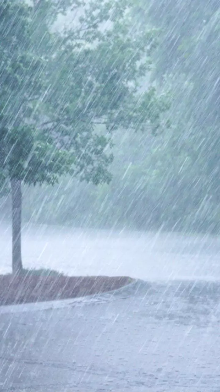 India faces huge rainfall shortfall in December 2025