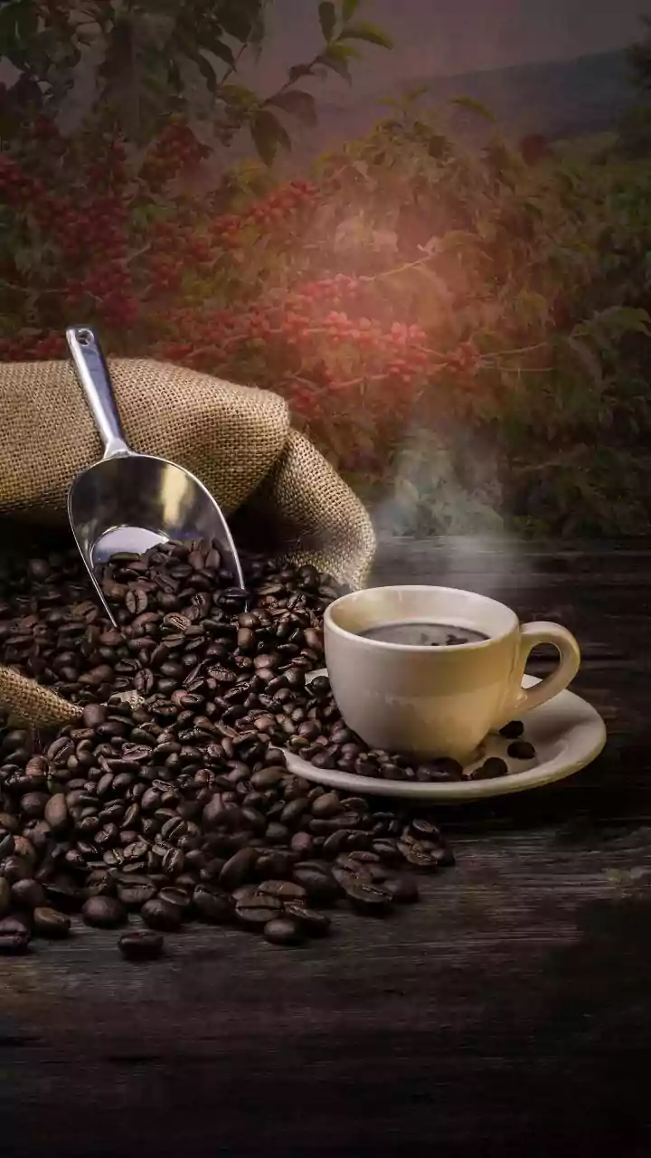 Journey Through Coffee's Top Havens: Discover the World's Finest Brews!
