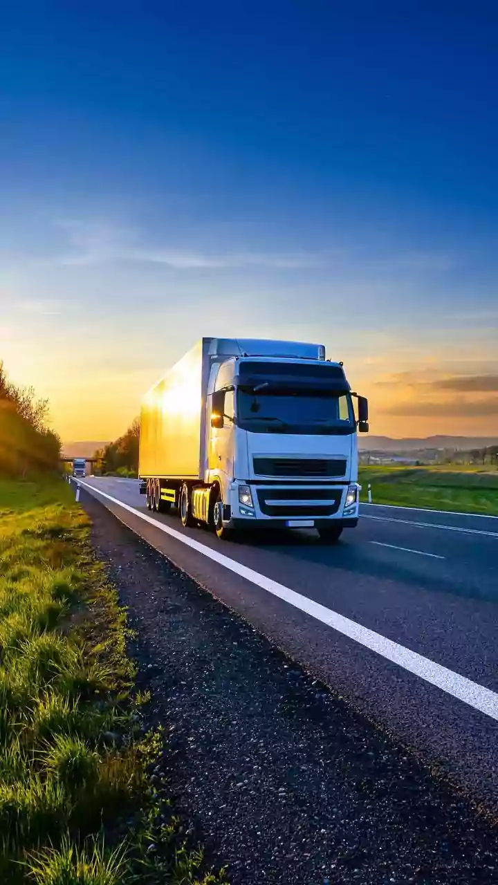 Operation Checkmate: 30 Indian Truckers Working Illegally In US Arrested, Likely To Be Deported