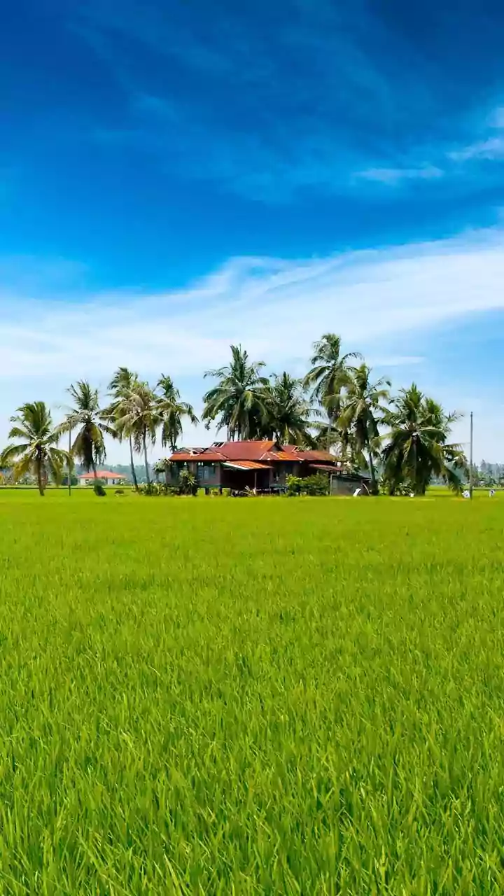 How Sustainable Tourism Can Strengthen Kerala's Rural Economy