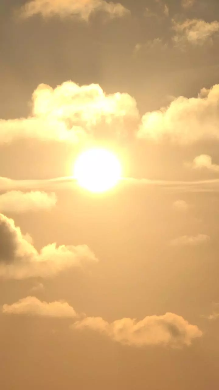 Strong UV today—sun feels sharper outside.