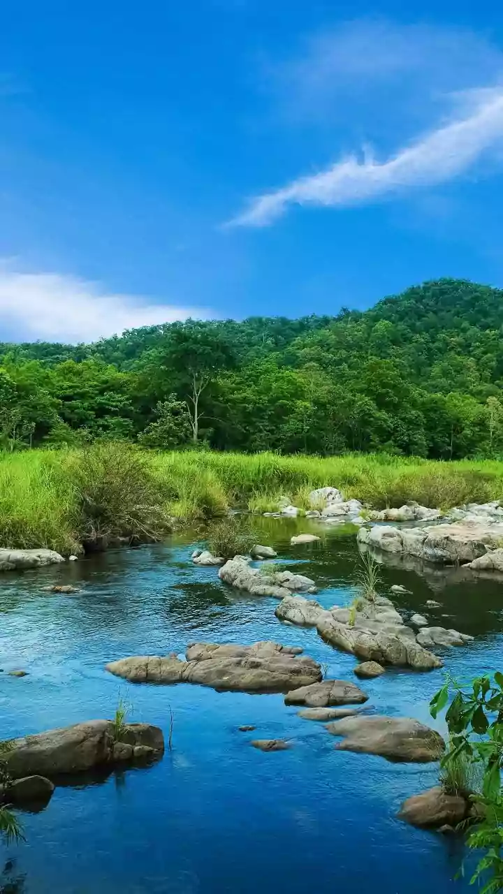 Mooji's Wisdom: Unburden Your Mind, Embrace Life's Natural Flow