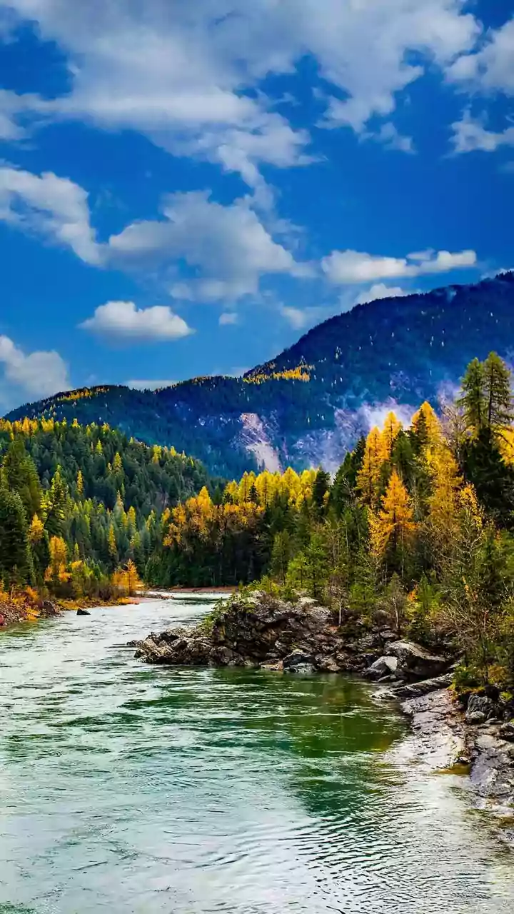 Kasol And Jibhi Workations: Budget Mountain Stays For Remote Workers This Autumn