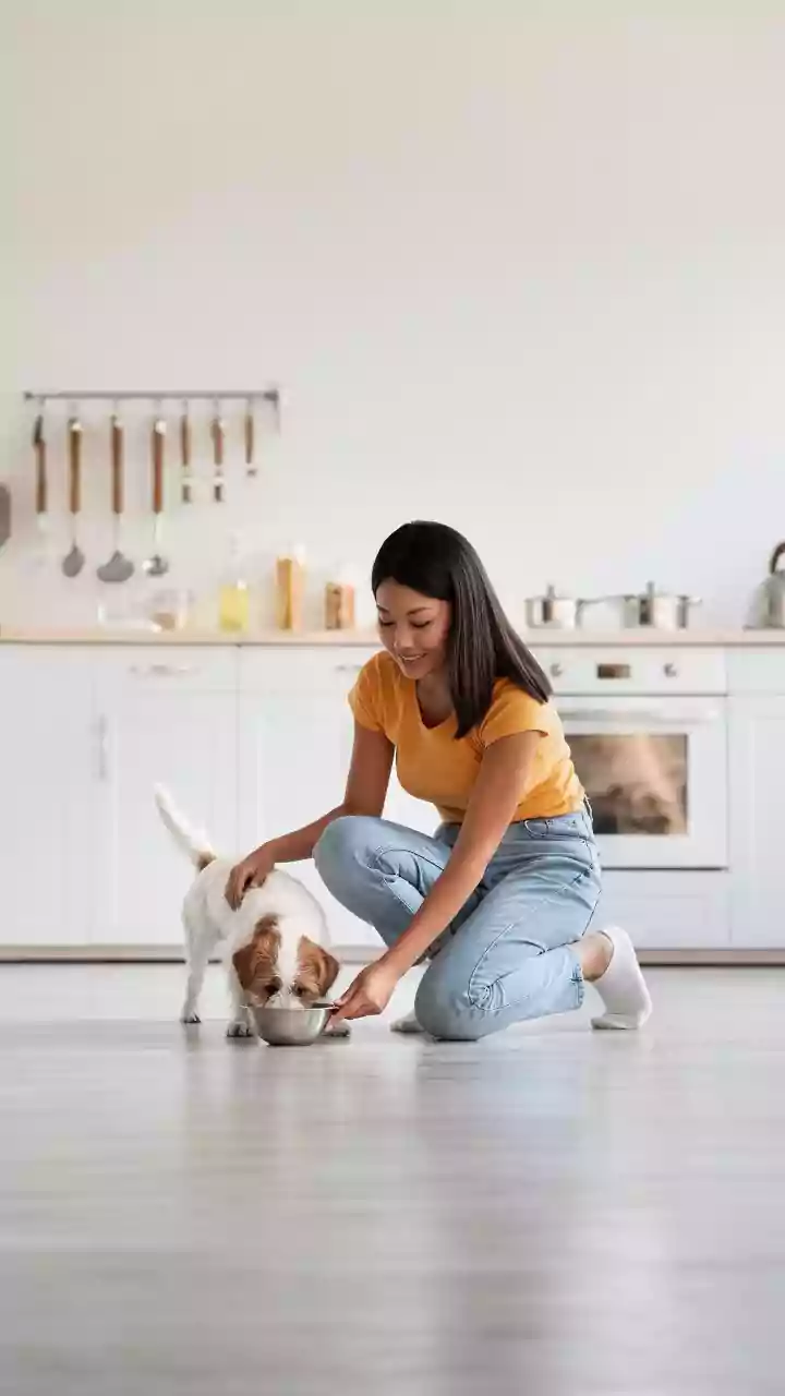 Pet Care Is No Longer Only Emergency Spending