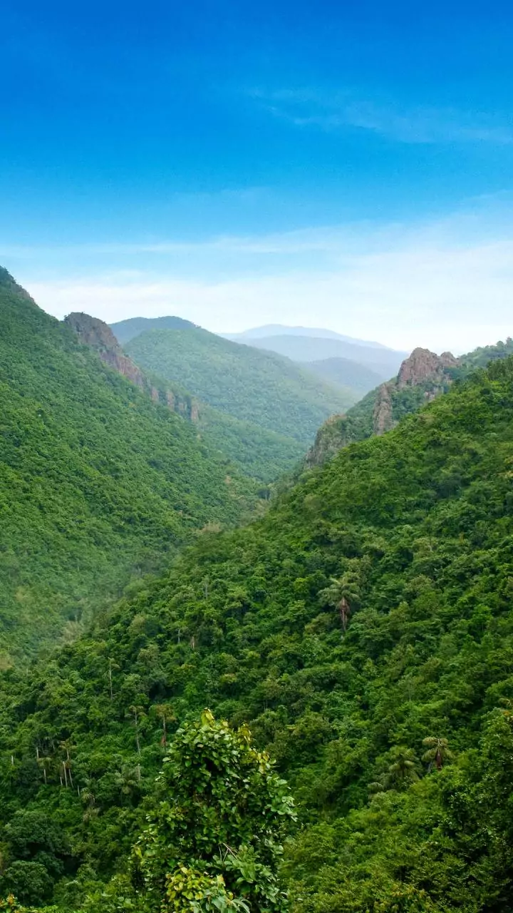 Karnataka: A Glimpse of India's Southern Jewel