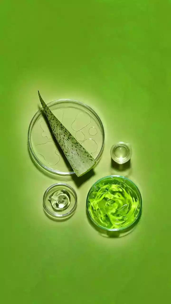 Can Plants Make Us Sick? Unraveling the Rare Cross-Species Germ Infections