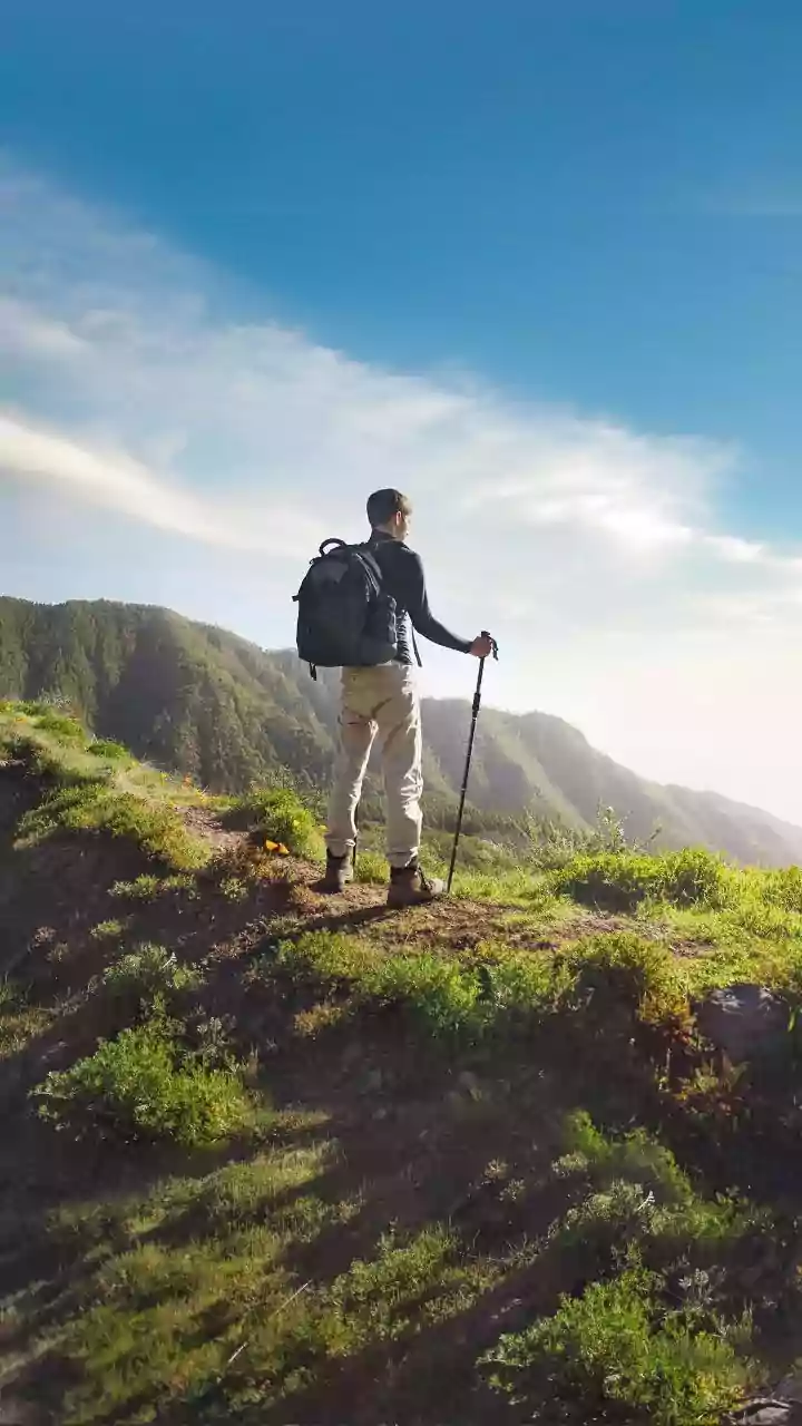 5 Reasons Why You Should Go Trekking Every Year