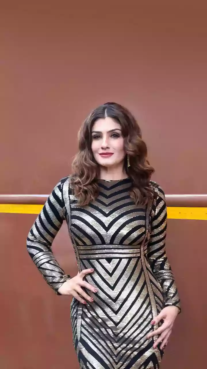 Raveena Tandon reacts to mob attacks; says good security is important | Exclusive