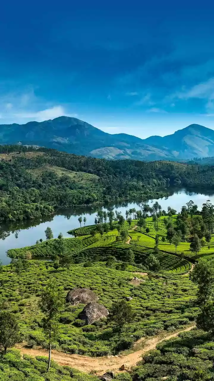 Anglo-Indians in Kerala: A Quest for Justice