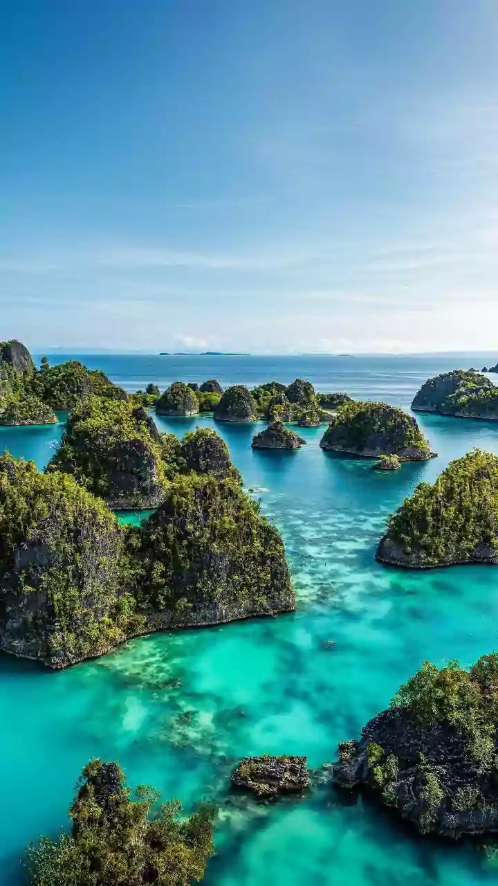 Lakshadweep Coral Preservation Strategies Emphasise Sustainable Travel Restrictions For Island Eco-Tourists Today