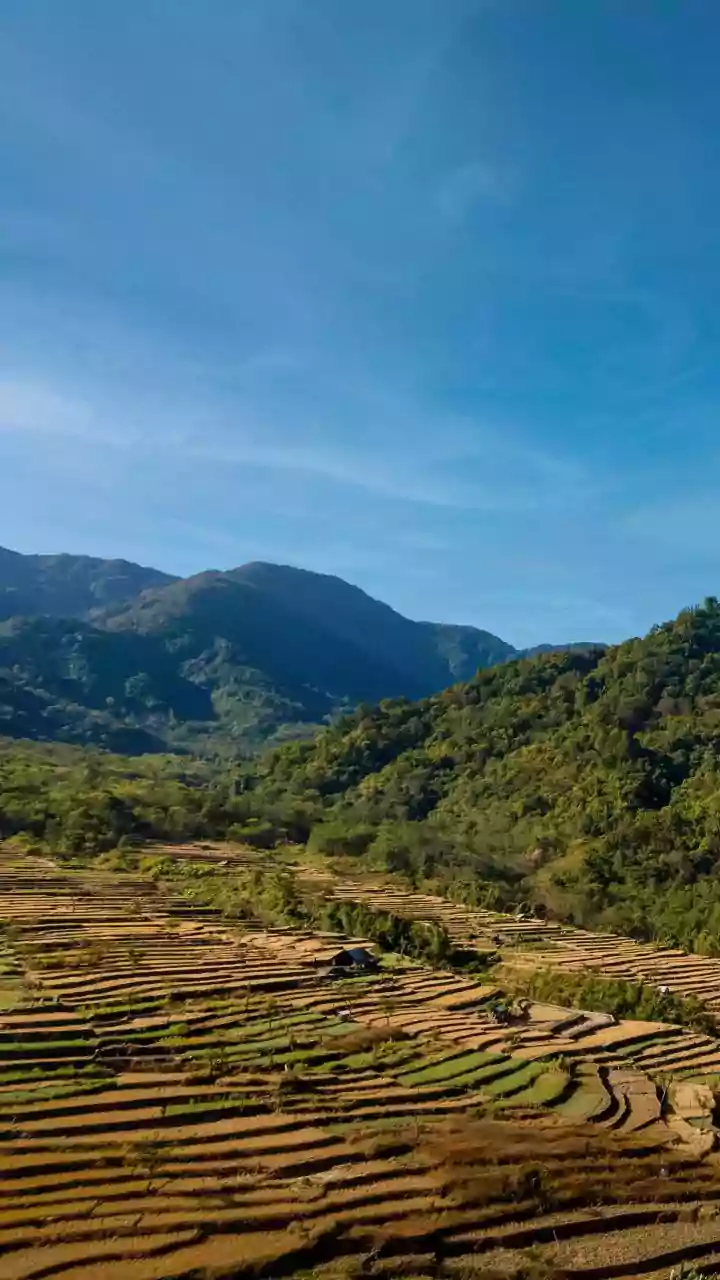 Remote Work In Ziro Valley: Find Affordable Homestays During Arunachal's Music Festival