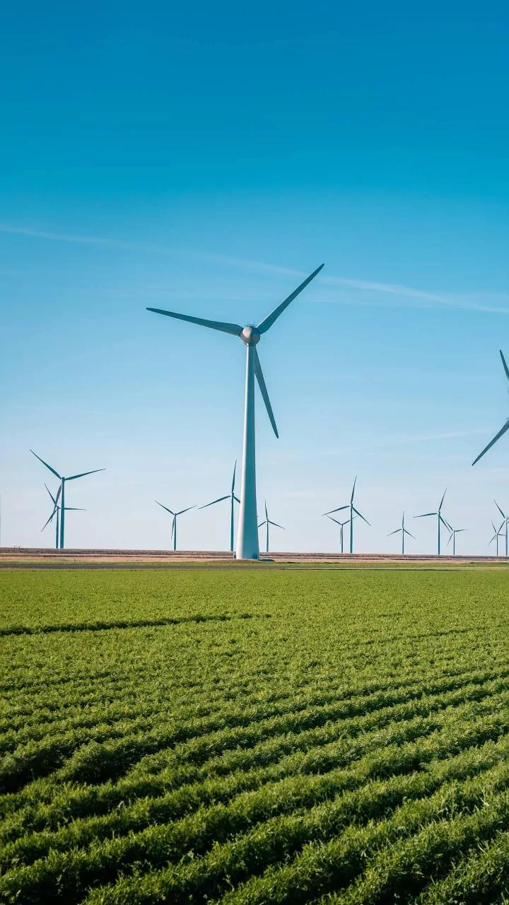 Energia eólica avança nos EUA apesar da oposição de Trump