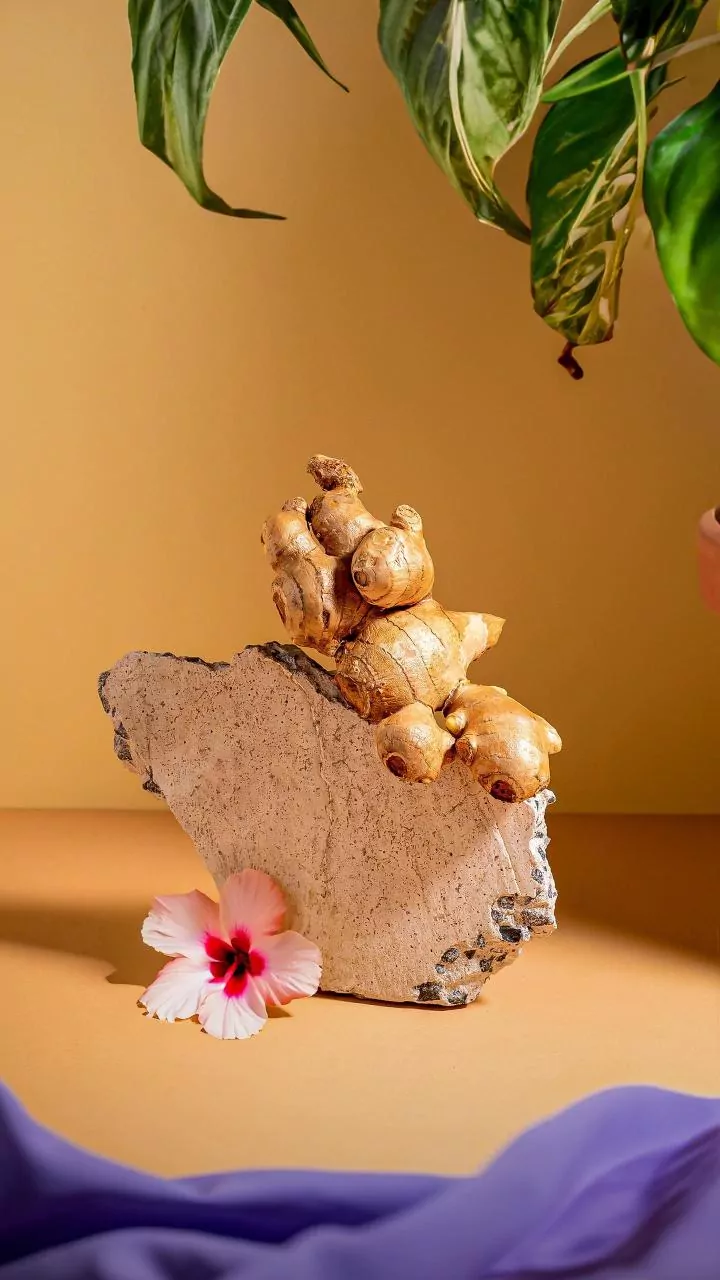 How to create stunning desert rose sculptures