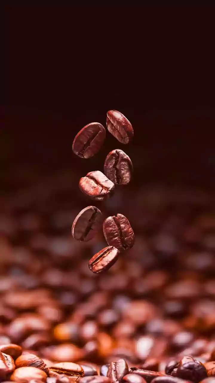 Demorei muito para entender por que na Itália o café não deve ser guardado na geladeira