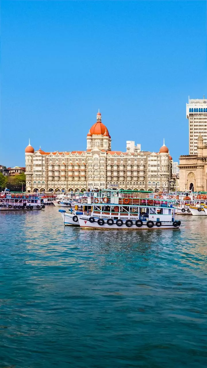 Maharashtra minister Manikrao Kokate moves HC against conviction; hearing on Dec 19