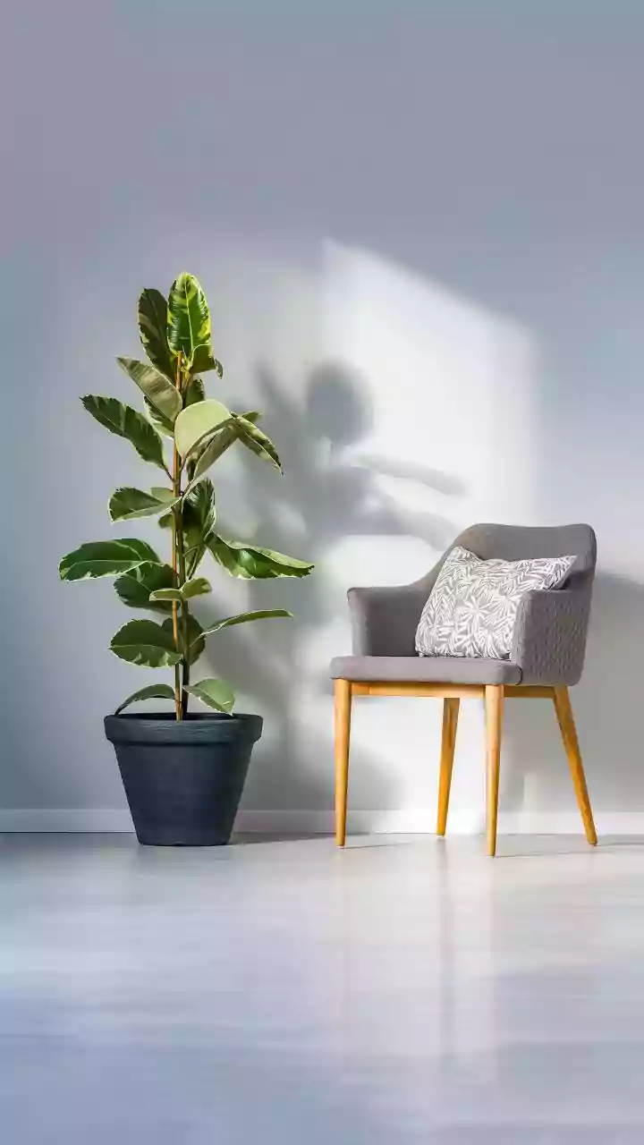 Declutter Your Life: 8 Items Minimalists Banish Weekly for a Serene Home