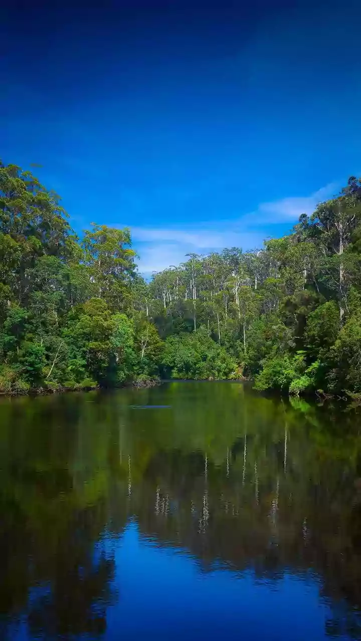 Nature lovers, this is your ultimate Tasmania getaway