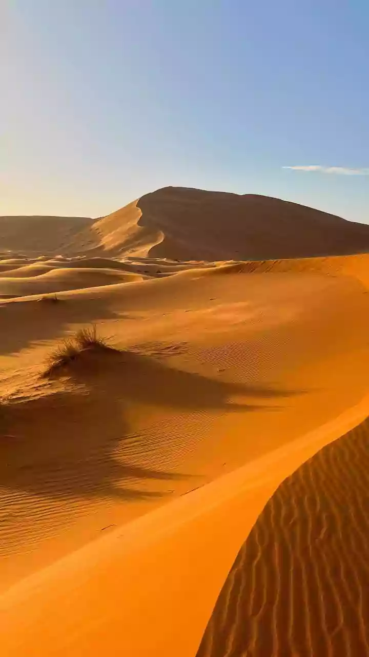 Qatar's Desert And Coast Experience Presents A Short-Trip Approach To Exploring Qatar