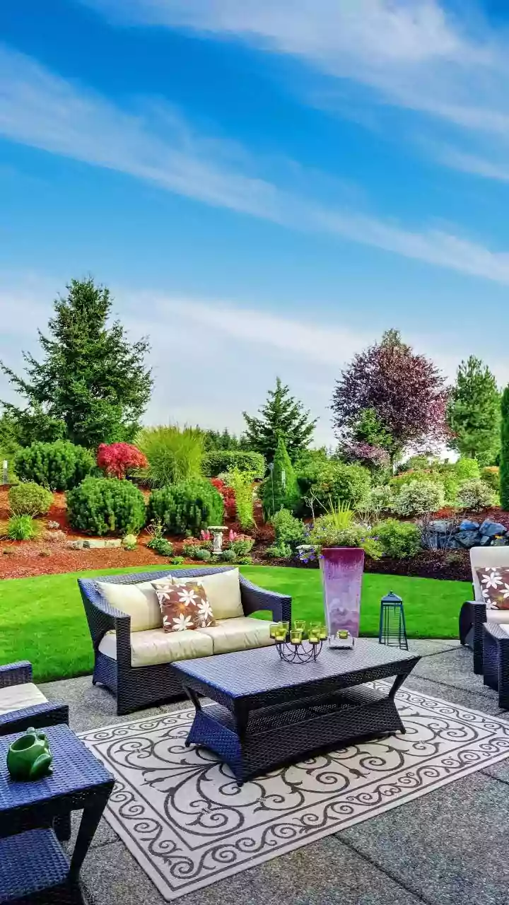 Thrift Store Treasures: Pro Designers' Secret Picks for a Stunning Backyard Oasis