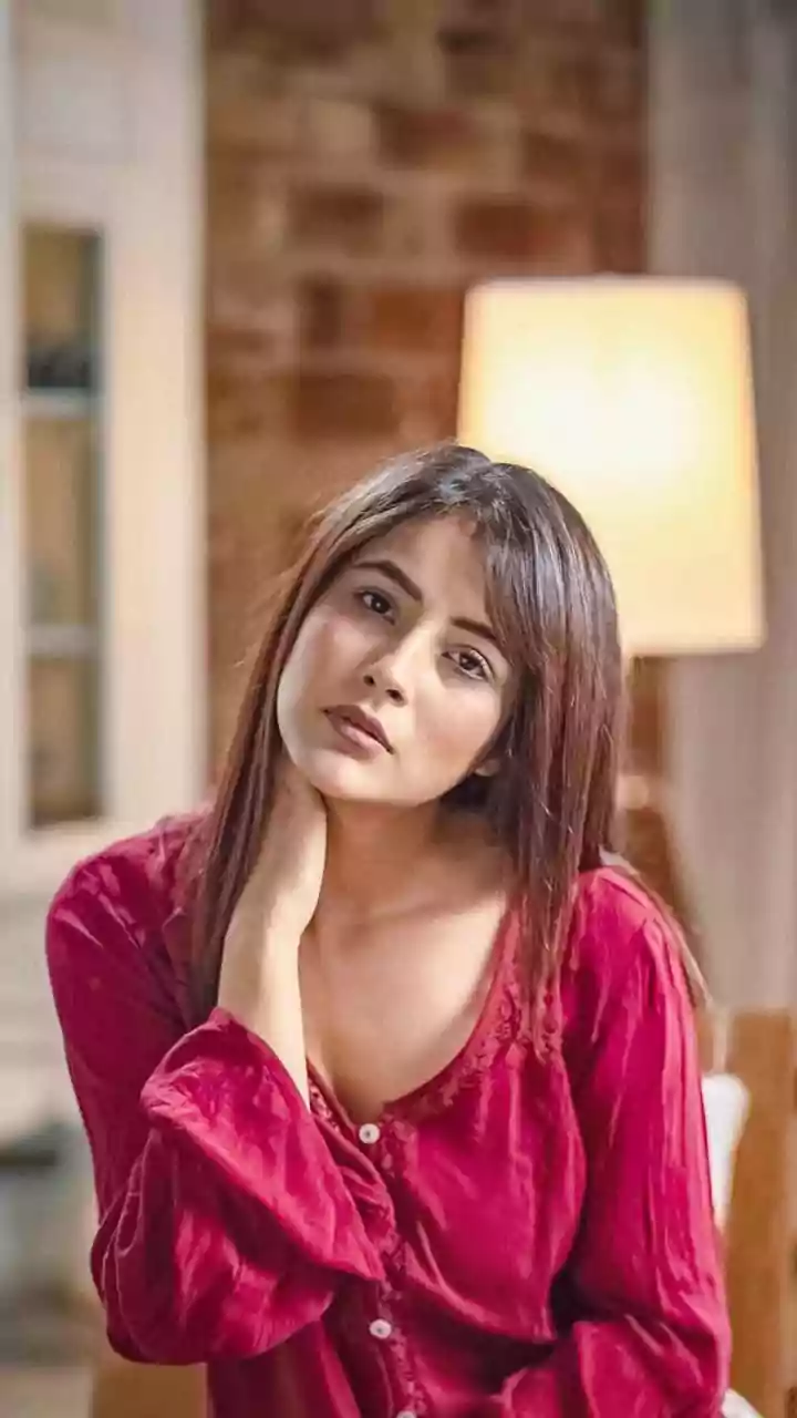 Mahira Sharma Calls Shehnaaz Gill ‘Baby’ In Birthday Wish; Know How Bigg Boss 13 Enemies Became Soul Sisters