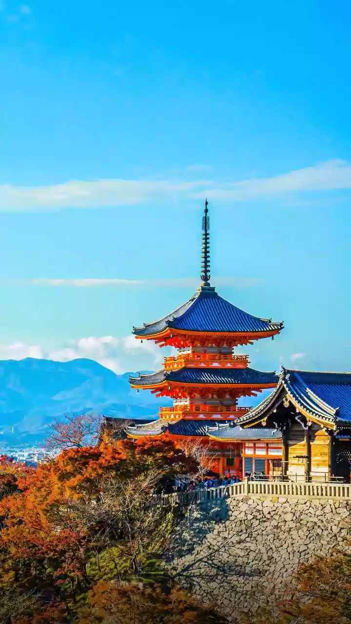 Tourists Should Keep Digital or Paper Purchase Details Until Leaving Japan