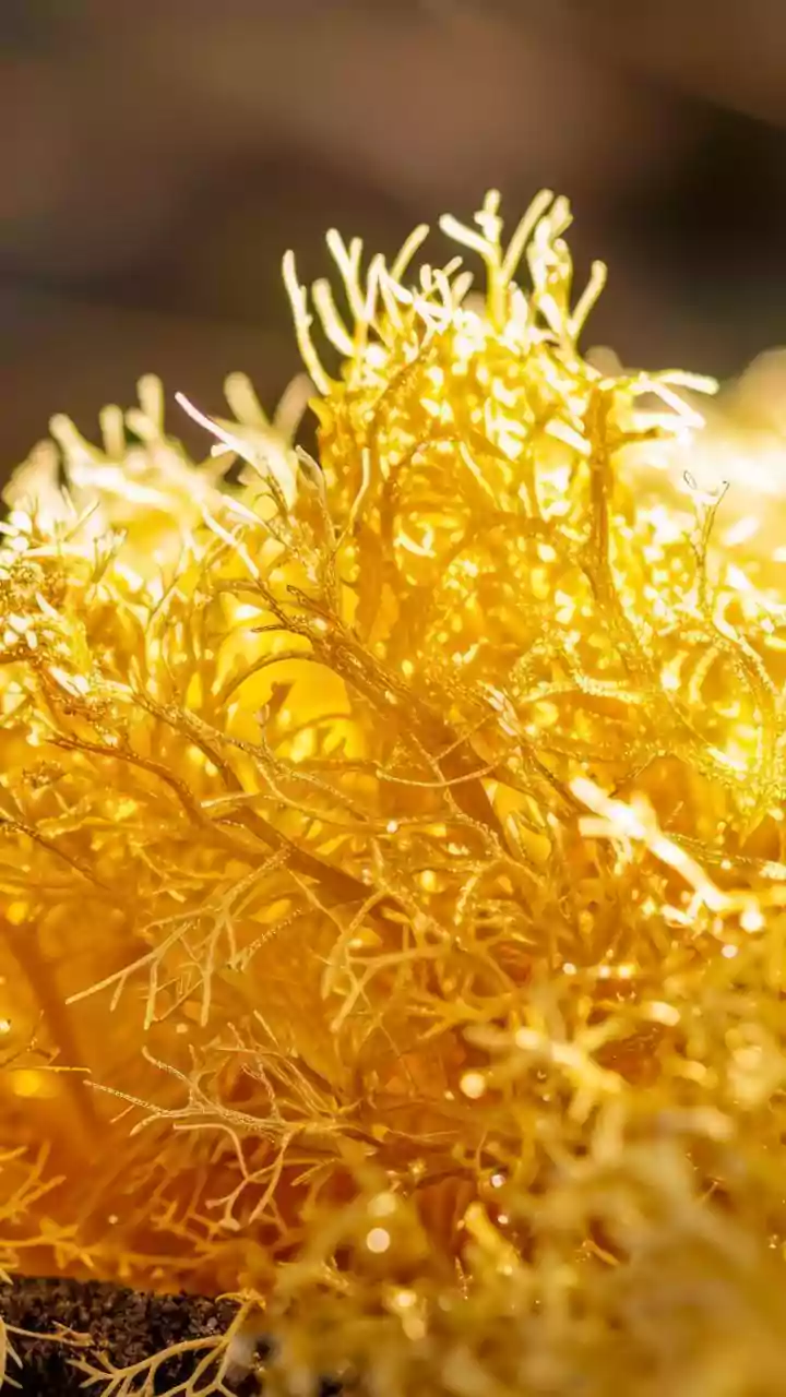 Summer's Unwanted Guests: Battling Bacteria in Warm Weather