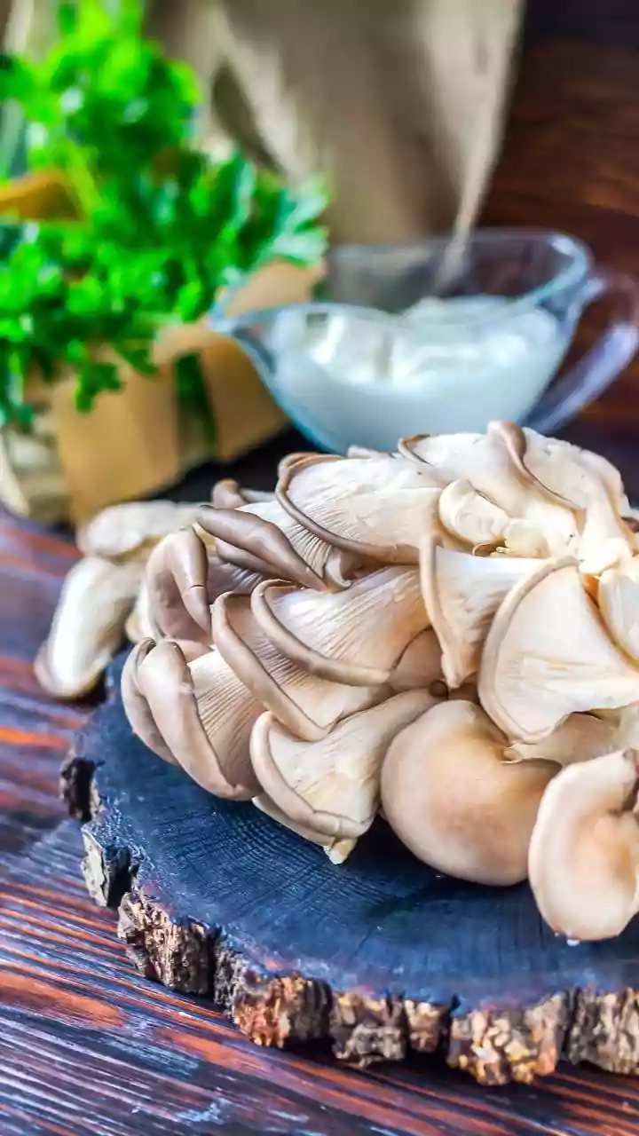 Urban Micro--Factories Transform Spent Coffee Grounds Into Gourmet Mushrooms