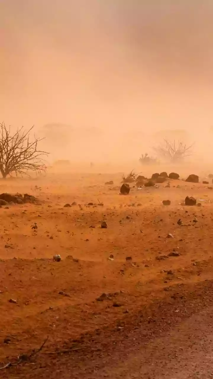 China and Mongolia are battling to control massive dust storms
