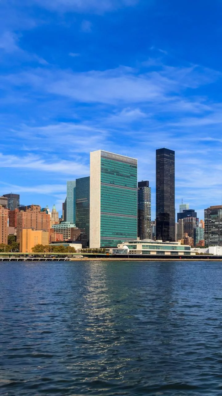 Did Trump Just Validate His ‘Board of Peace’ Idea by Attacking the UN?