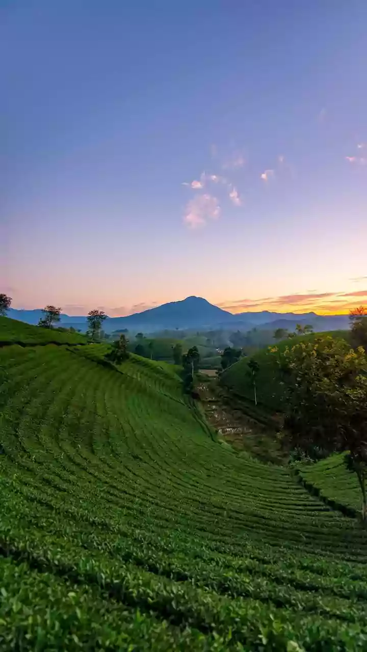 Assam On High Alert Amid Unrest In Bangladesh, CM Himanta Sarma Says 'Keeping A Sharp Eye'