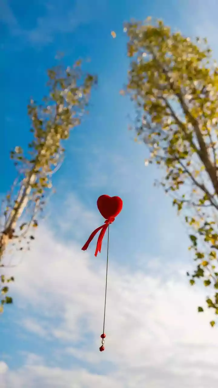 Propose Day 2026: Unveiling the Significance of February 8th & Heartfelt Celebration Ideas