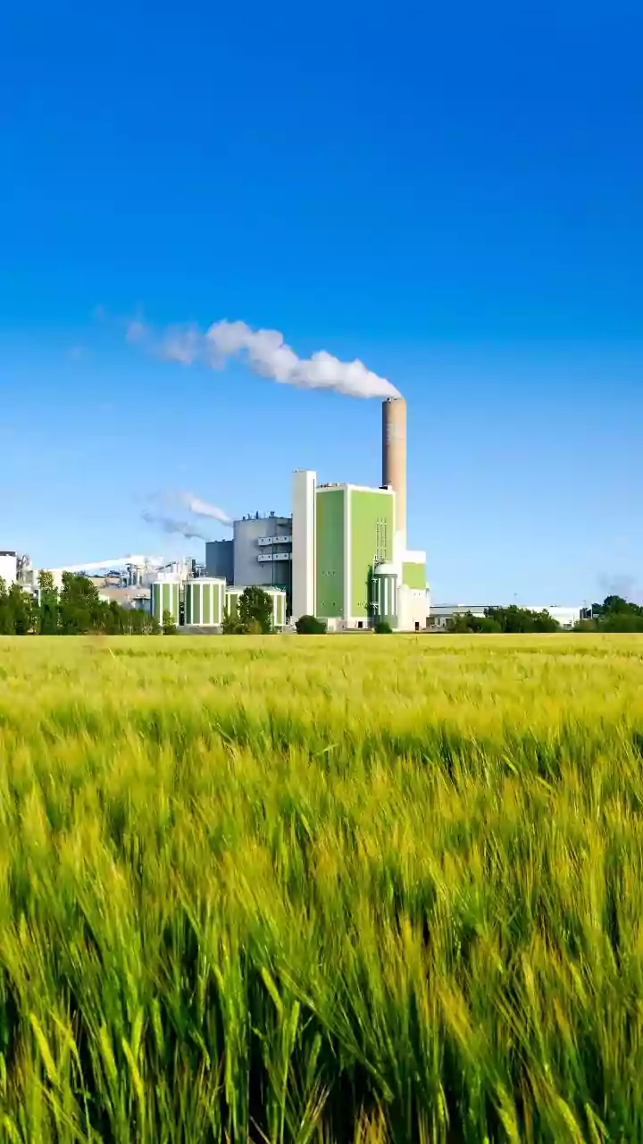 Rajasthan: Farmers hold 'mahapanchayat' against proposed ethanol plant in Hanumangarh