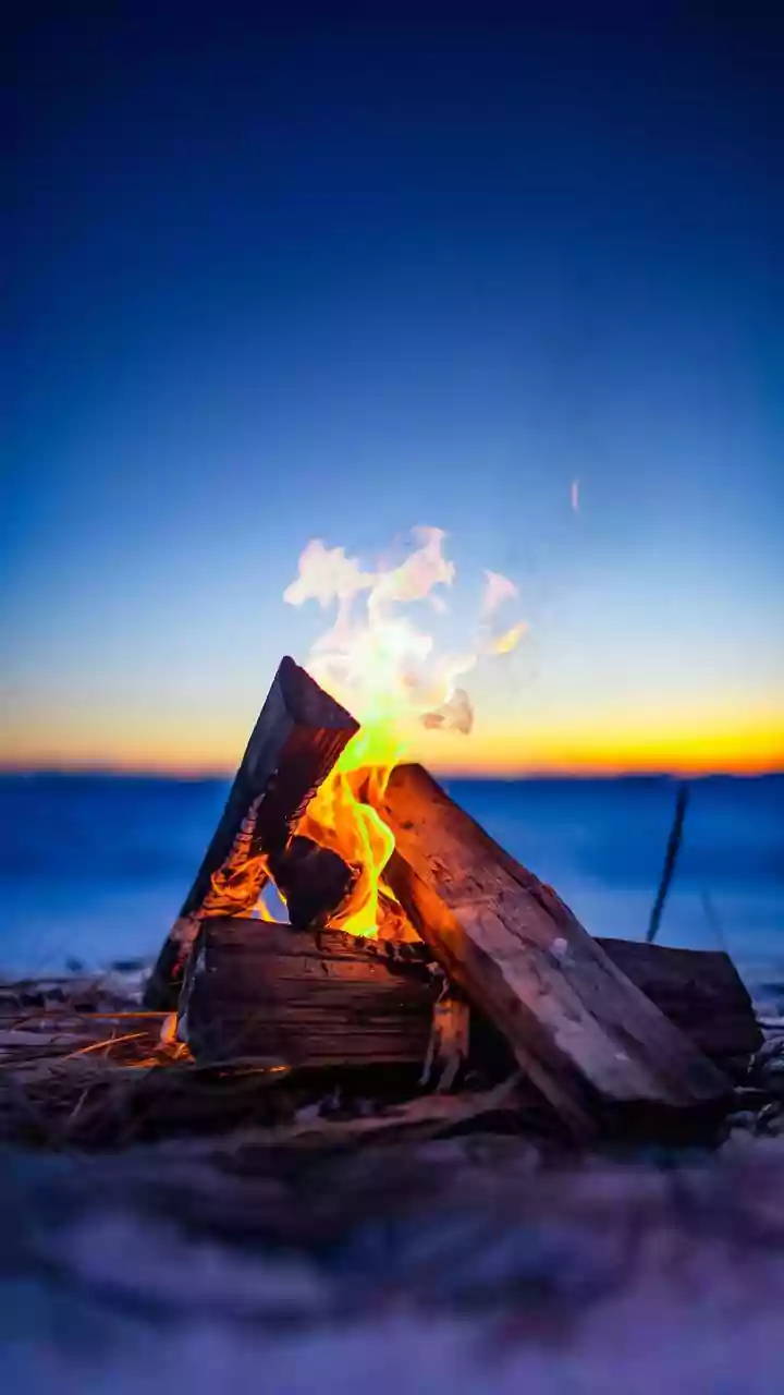 75+ Lohri Wishes & Quotes: Celebrate the Winter Festival!