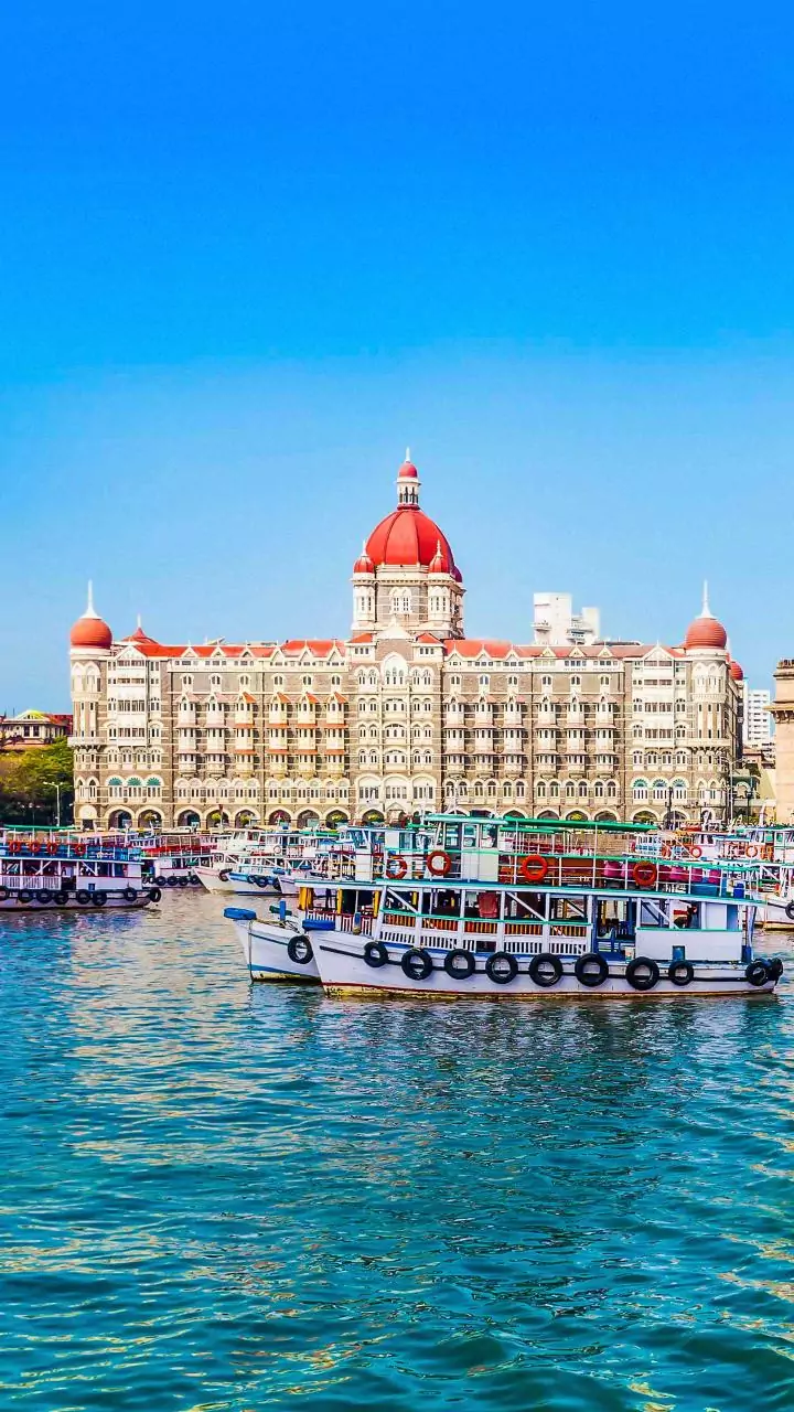 BMC Gets 12 Gen-Z Corporators: BJP’s Kashish Phulwaria, 22, To Be Youngest In 2026 Mumbai Civic Body