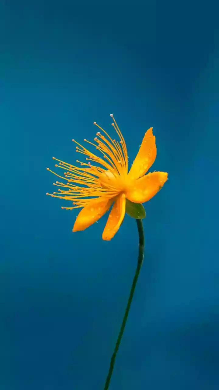 IMD flags rising heat—April warmth building steadily across days.