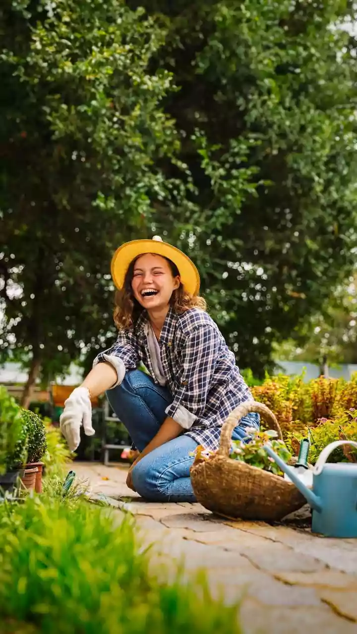 The Start of August Pruning Leaves Gardeners with One Main Check: Plant Type