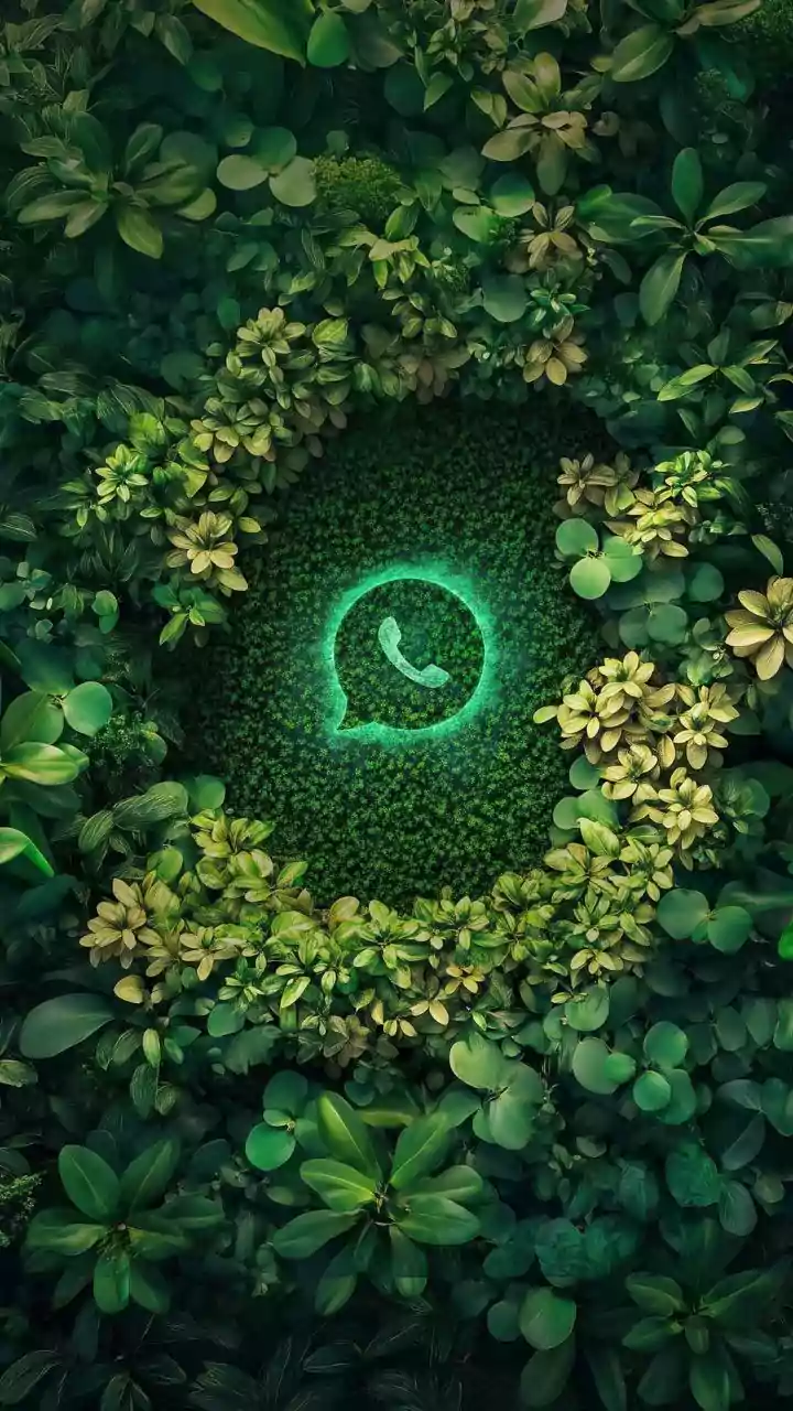 WhatsApp rolls out festive features for 2026: Animated stickers, video call effects and more