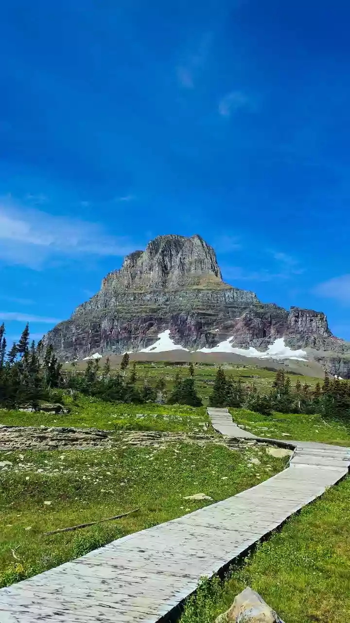 Enjoy The Alpine Flower Meadows You Will Love While Hiking In Austria
