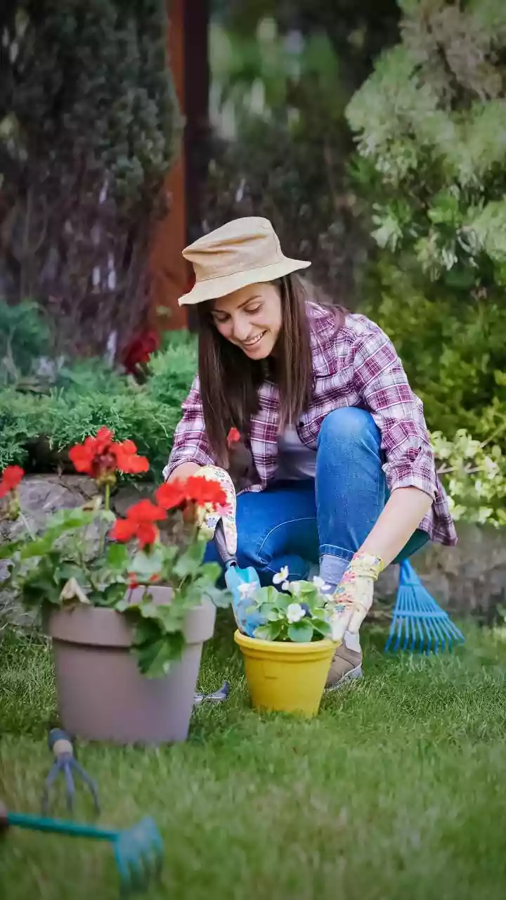Pre-Monsoon Gardening Starts With Cutting Back Plants
