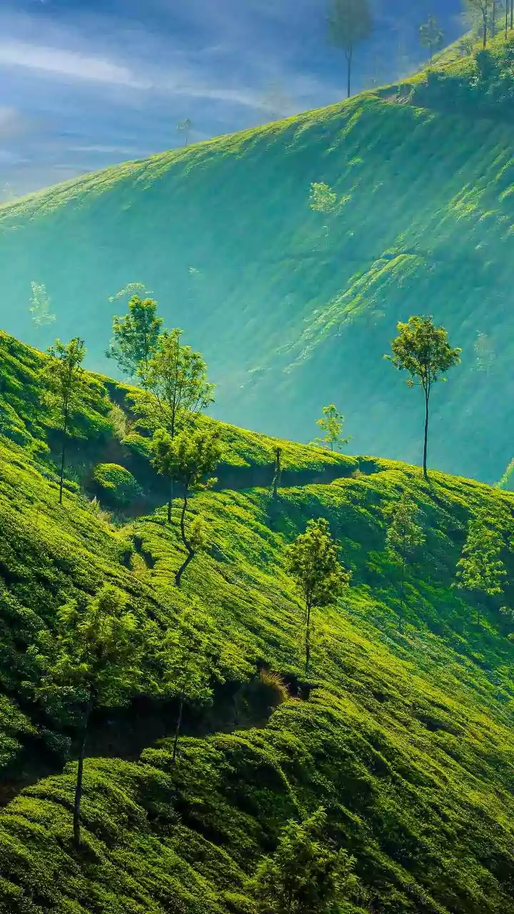 Clear-air days lure bikers back to Coorg’s glowing valleys