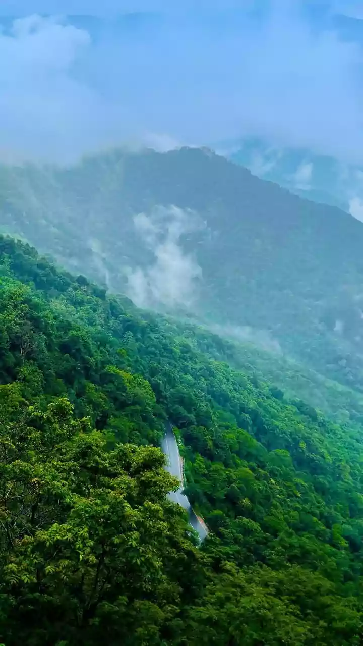 Why The Mountain Lover In Me Is Unhappy With The Delhi–Dehradun Expressway