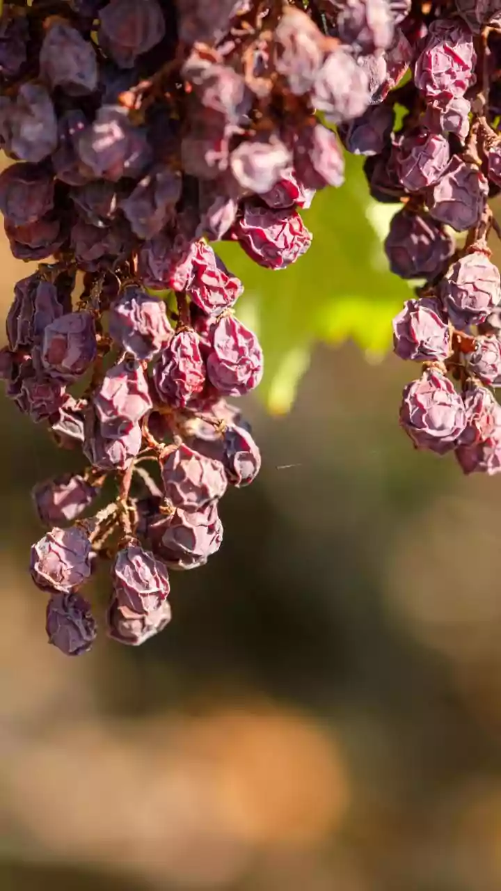 Dark Circles: Why Dehydration Might Be the Culprit