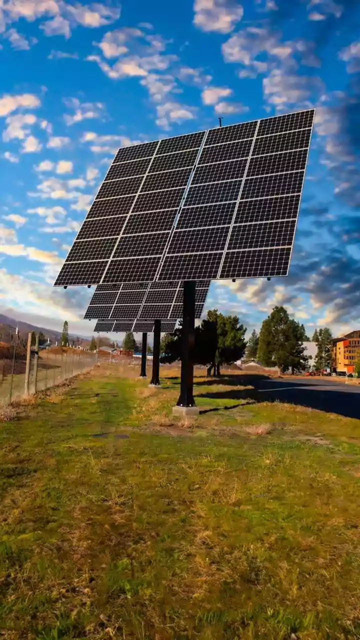 Why Solar Infrastructure Researchers Are Using Squid Ink Compounds For Bio-Synthetic Coatings